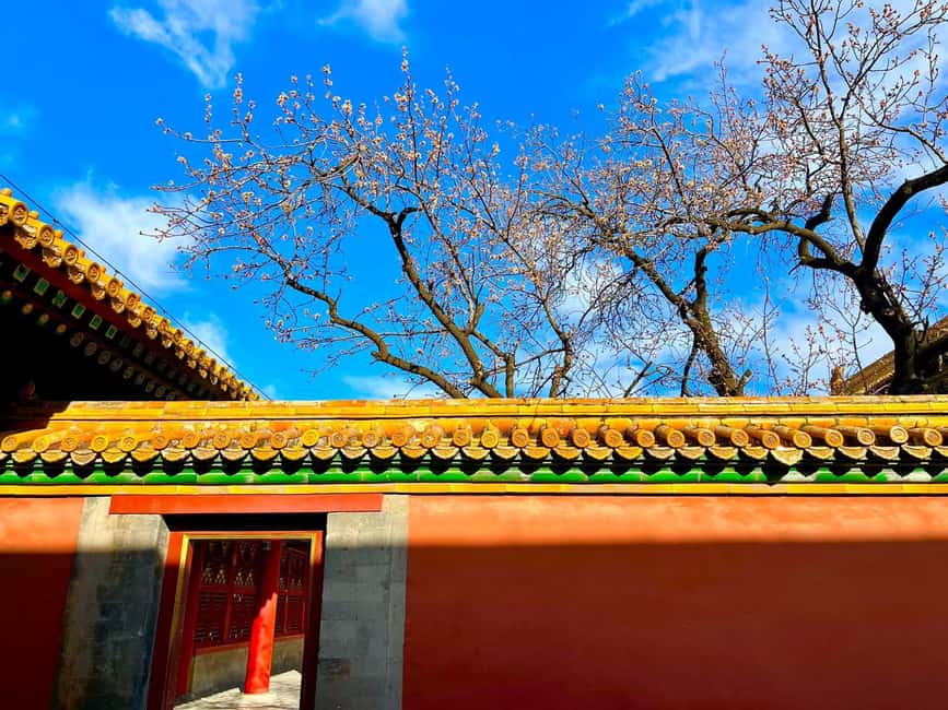 Beijing:Forbidden City--Reveal Secrets Behind Red Walls - Guides Coco and Molly: Why the Tone Is Often the Best Part