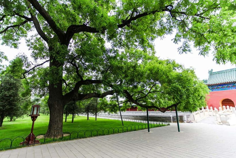 Beijing:Forbidden City Tour—Temple, Summer Palace&Great Wall - Group vs Private: What Changes, and What Stays the Same