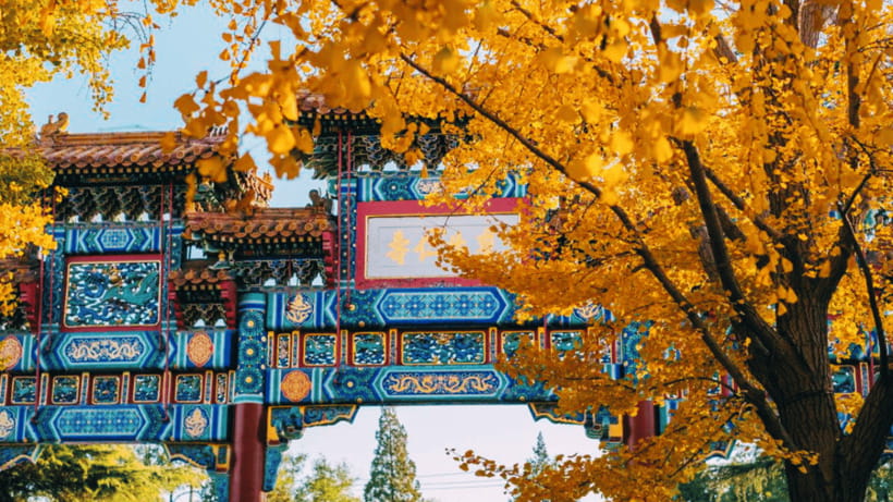 Beijing: Lama Temple (Yonghe Temple) Admission Ticket - The 18-meter sandalwood Buddha: why it’s a real wow moment