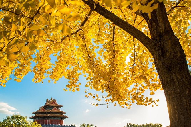 Beijing Layover Tour to Tiananmen Square and Forbidden City - Who This Tour Suits Best (and Who Might Prefer Another Plan)