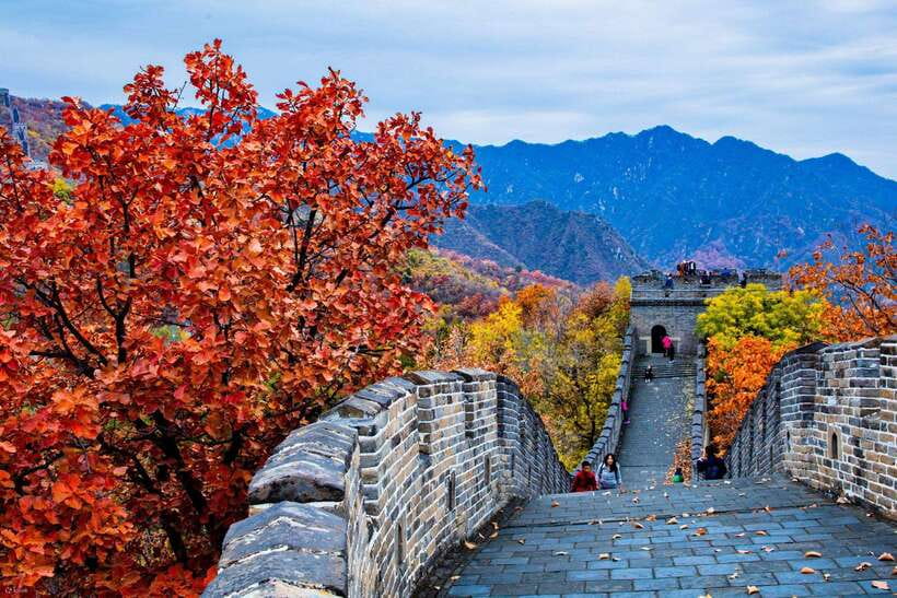 Beijing: Panda House w/Great Wall or City Sites Private Tour - Price and value: why $144 can work if you use the time well