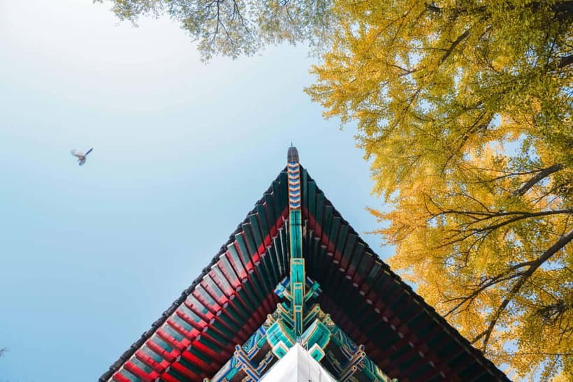 Beijing: Peking University Campus Guided Walking Tour - From Yenching University roots to PKU’s wider Beijing links
