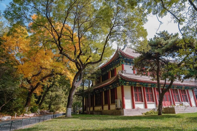 Beijing: Peking University Campus Guided Walking Tour - Traditional gardens, courtyards, and the logic of layout