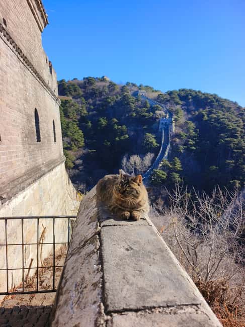 Beijing: Private Tour to Mutianyu Great Wall&Forbidden City - Who this tour suits best, and who should consider alternatives