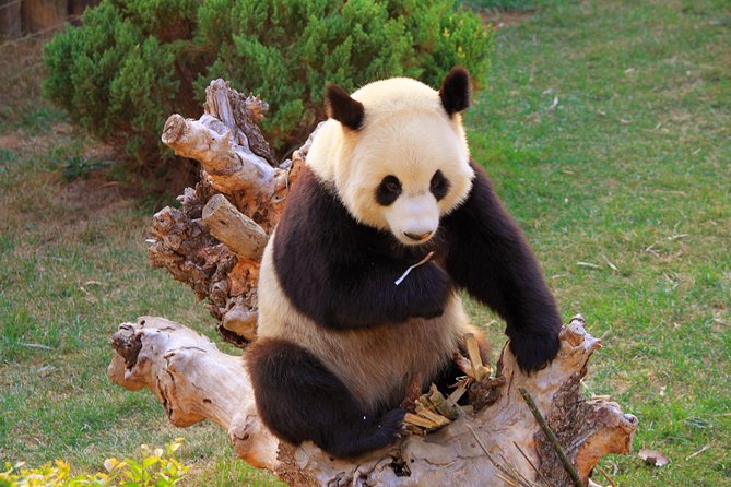 Beijing Private Tour to Temple of Heaven, Panda House and Summer Palace - Summer Palace: gates, Cixi halls, and a Long Corridor you can actually enjoy