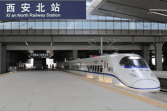 Beijing Private Tour: Xi'an Terracotta Warriors by Bullet Train - Your guide’s Terracotta Army story: from 1974 to 8,000-plus soldiers