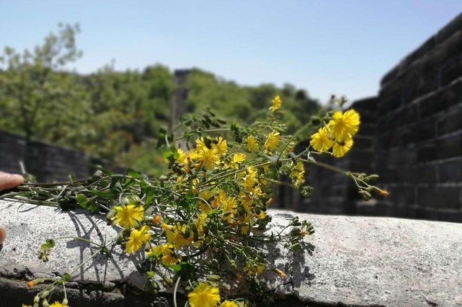 Beijing Private Transfer: Badaling Great Wall with VIP Past Pass - What your day looks like, pickup to wall return