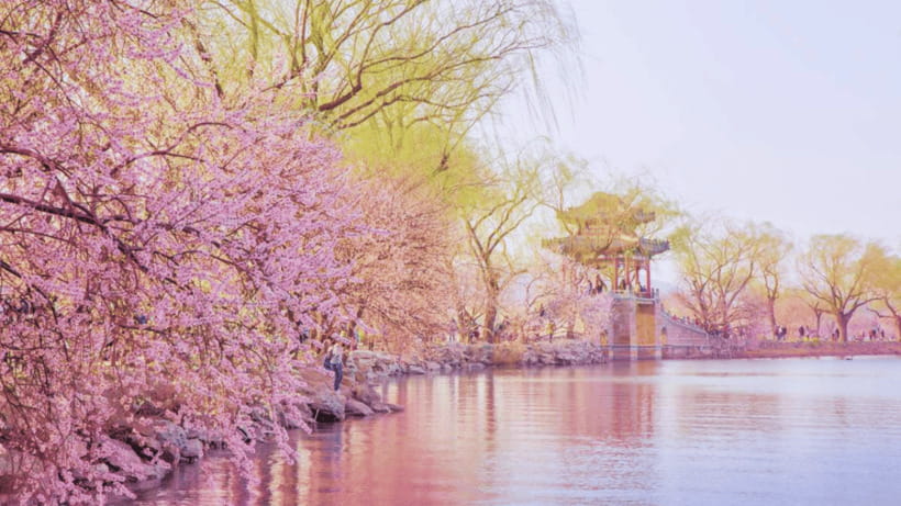 Beijing: Summer Palace Admission Ticket and eGuide - Picking the Best Entry Slot: Morning, Midday, or Late Afternoon