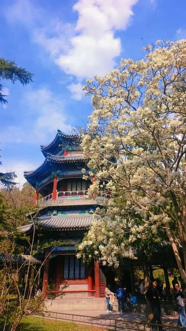 Beijing: Summer Palace Highlight Walking Tour - Hall of Benevolence and Longevity: Imperial History in the Political Area