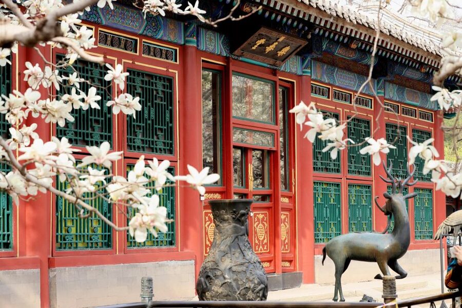 Beijing: Summer Palace, Sacred Road&Ming Tombs Private Tour - How this 8-hour private tour actually feels in Beijing