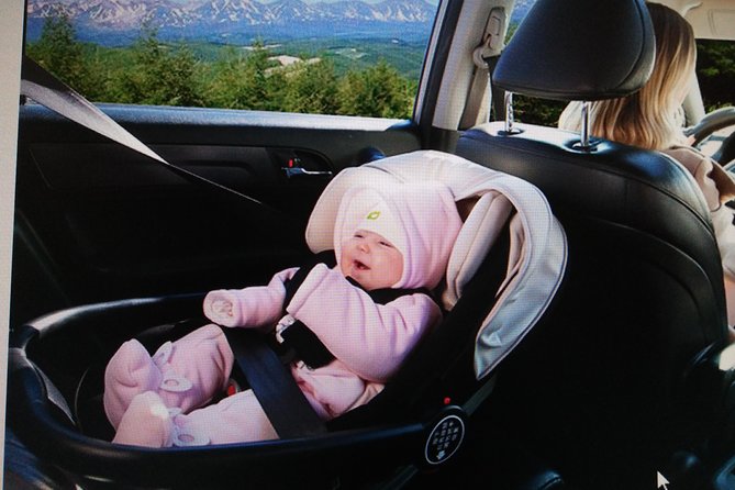 Beijing Tailored Privated Day Trip by Licensed Driver - Private transport that saves your Beijing time