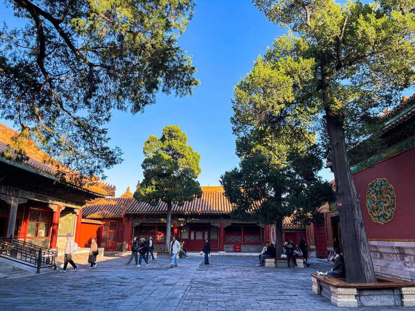 Beijing:Temple of Heaven+Forbidden City Private City Tour - How this 8-hour loop makes Beijing feel manageable