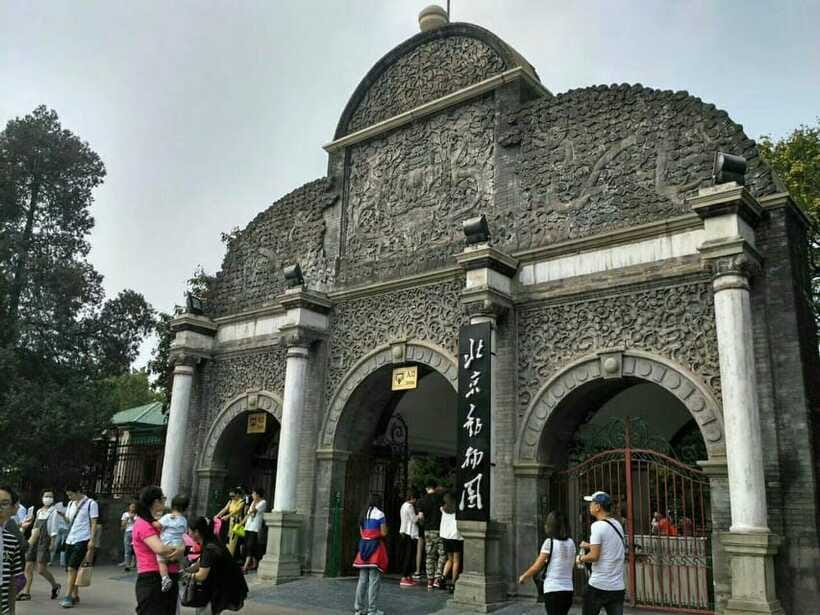 Beijing: The Beijing Zoo Entry Ticket with Pandas - Panda House strategy: see pandas well even with crowds