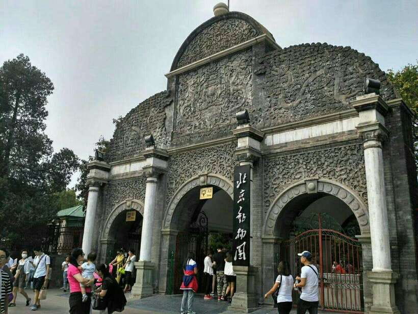 Beijing: The Beijing Zoo Entry Ticket with Pandas - Price and value: entry for about $6 plus Panda House access