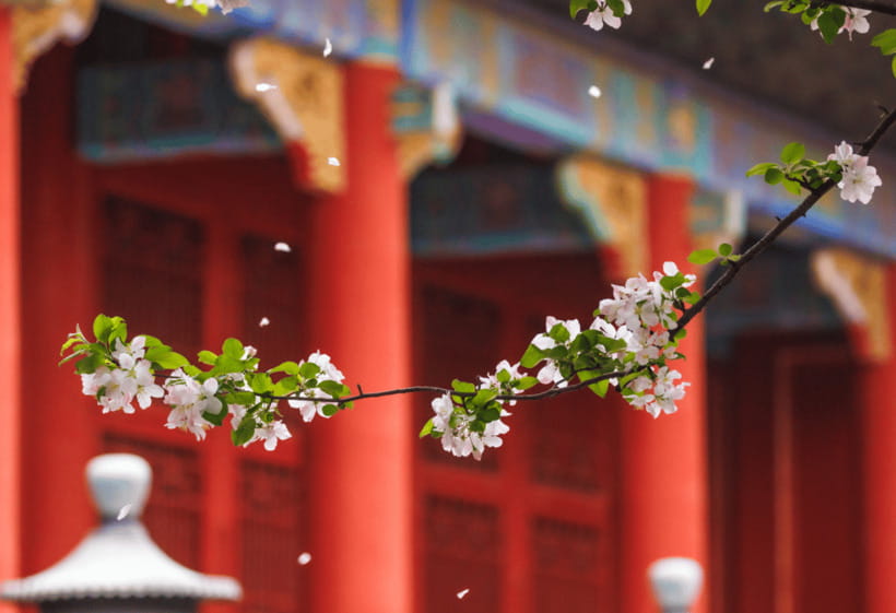 Beijing: Tiananmen Square and Forbidden City Entry Tickets - What you should do before you go