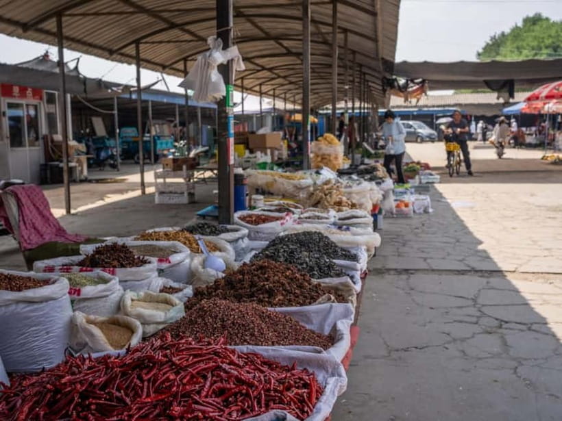 Beijing: Vegan Home Cooking & Local Market Tour with Sanxia - Key things that make this tour special