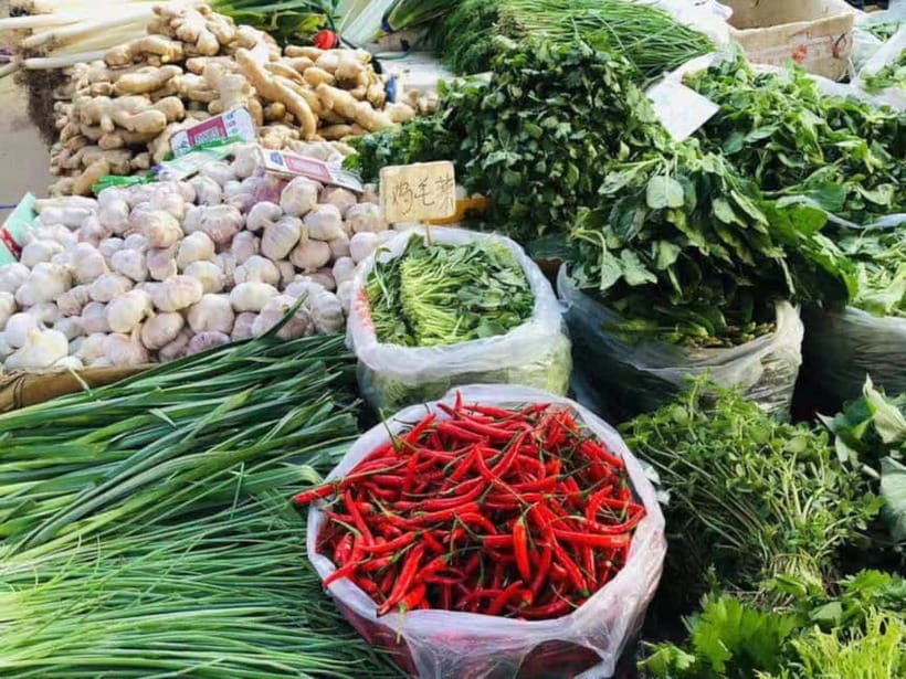 Beijing: Vegan Home Cooking & Local Market Tour with Sanxia - Getting your bearings in Tongzhou, meet Sanxia near Tu Qiao
