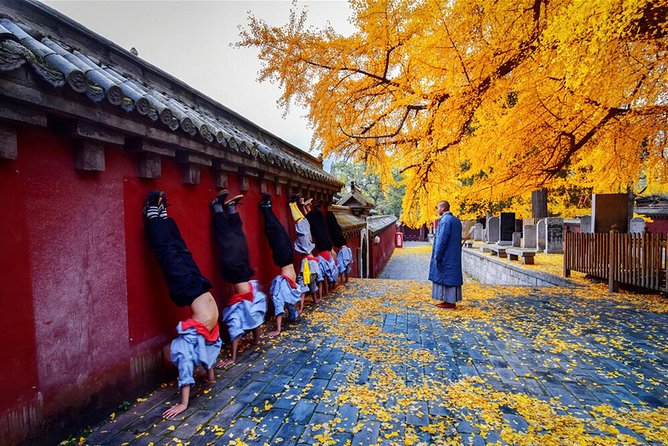 Best Luoyang Private One Day Tour - Stop 2: Longmen Grottoes, 100,000 carvings, and how to handle the walking