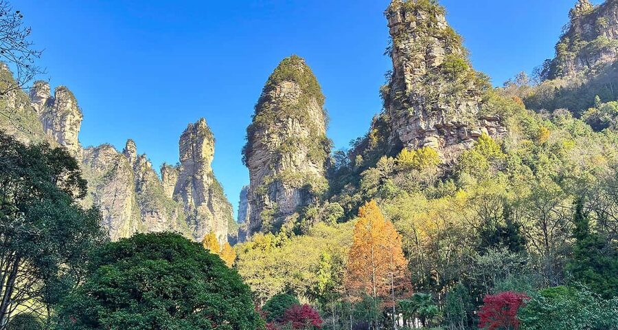 Best Mini Group to Zhangjiajie Forest Park & Avatar Mountain - Price and what you get for $99 (and what might cost extra)