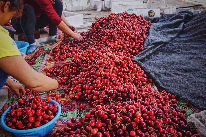 Changsha Walking Food Tour with Private Guide - Timing tips: morning, afternoon, or night in Changsha