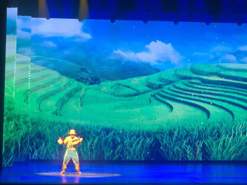 Chaoyang Acrobatics Ticket - Seating and how to show up without stress