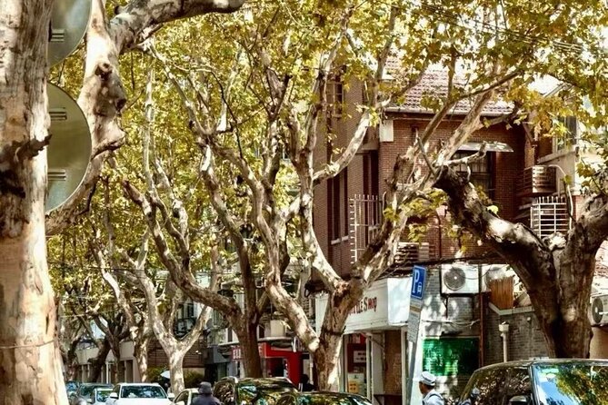 Charming Shanghai French Concession Mini-group Walking Tour - Shaoxing Lu: a tunnel of trees and the city’s publishing past