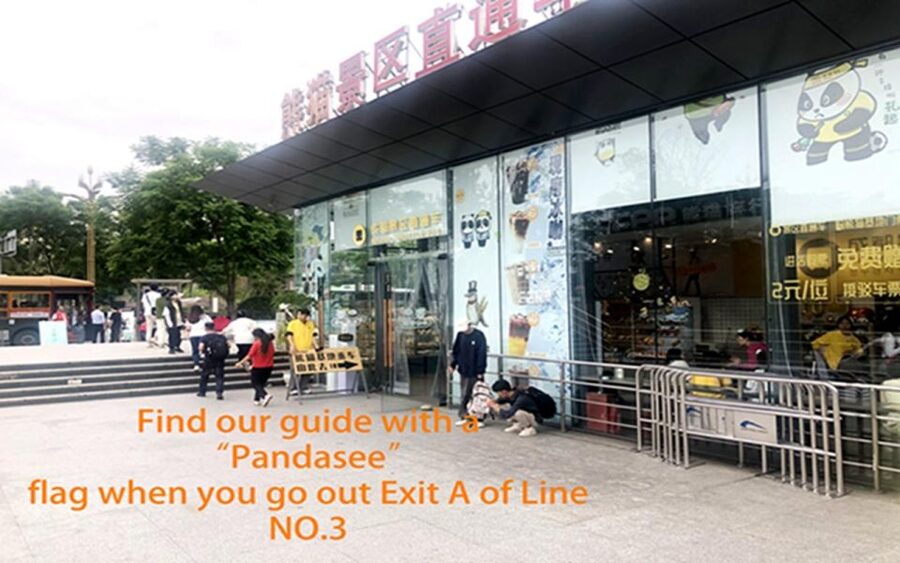 Chengdu panda base half day tour - Passport and meeting details: small admin, big payoff