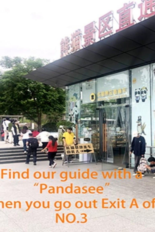 Chengdu panda base half day tour - Timing that matters: the base opens at 7:30, workers start around 8:00