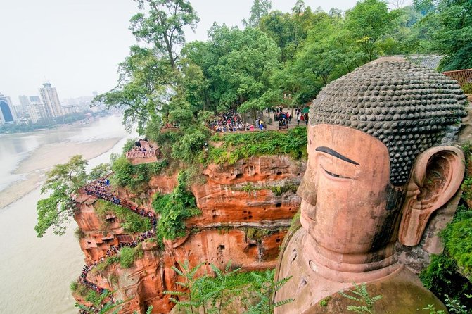 Chengdu: Panda Base Leshan Buddha Tour(or Half Day Panda Base ) - Key Things I’d Watch For