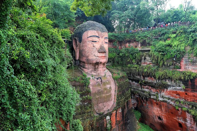 Chengdu: Panda Base Leshan Buddha Tour(or Half Day Panda Base ) - A Chengdu Day Trip That Stacks Pandas and the Leshan Giant Buddha