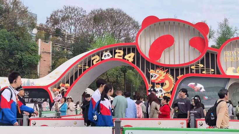 Chengdu: Panda Breeding Base Tickets Booking - Getting to the Panda Base Without Waiting Forever
