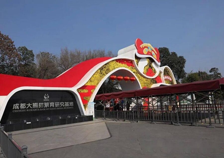 Chengdu panda & Leshan Buddha One Day Private Tour - Key things I think you will like
