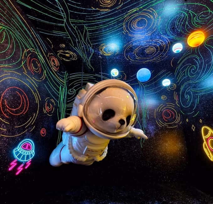 Chengdu: Panda Research Base Ticket or Volunteer Day Trip - Panda Planet Light Exhibition, 360 Views and Walk-Through Projections