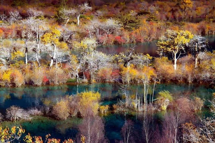 Chengdu: private 2-Day Huanglong Jiuzhaigou tour by train - English support, contracts, and practical communication tips
