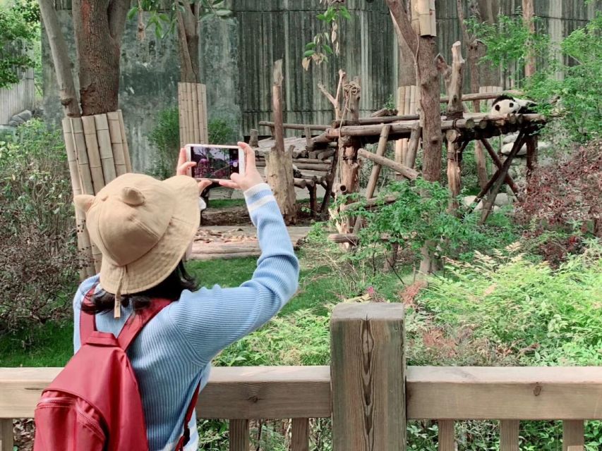 Chengdu: Private Panda Base Tour with 80 Pandas - Price and value: is $75 per person fair?