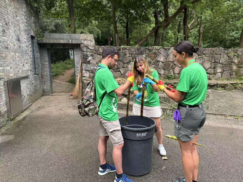 Chengdu: Volunteer Day Experience at Dujiangyan Panda base - Key highlights you’ll care about
