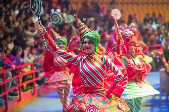 Chimelong International Circus Ticket with Transfer - Who This Tour Suits Best, and Who Might Skip It