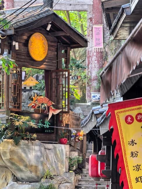 Chongqing: Historical Blocks, Temple, and Mountain Tour - Who this tour is for, and who should skip it