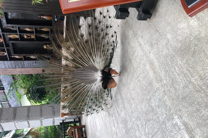 Chongqing Luxury Hot Spring and Massage Luxury Meal Private Tour - Price and value in real terms