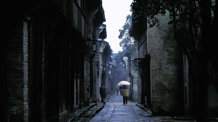 Delve into Wuzhen Water Town: Private Tour from Shanghai - Who this tour fits best