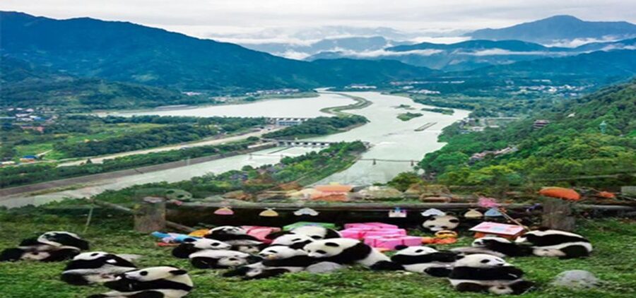 Dujiangyan panda base and irrigation system park day tour - Who This Tour Fits Best, and Who Might Not Love It