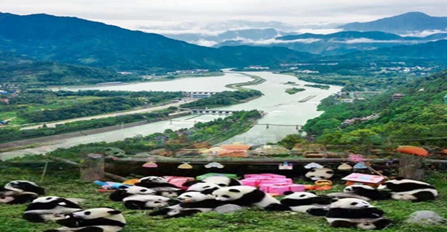 Dujiangyan panda base and irrigation system park day tour - That Hogwarts Library Stop at Zhongshuge: A Fun Break With Serious Photo Payoff