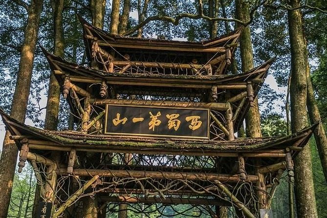 Dujiangyan Panda Base and Mount Qingcheng - Why the research focus changes how you view pandas