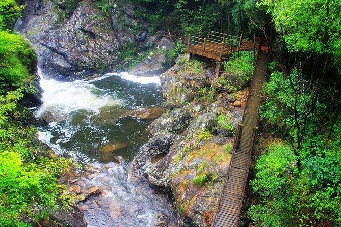 Dujiangyan Panda Base and Mount Qingcheng - What to expect during the Qingcheng time window