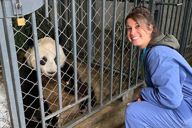 Dujiangyan Panda Volunteering Experience with Lunch - Why this Dujiangyan panda volunteer day feels different