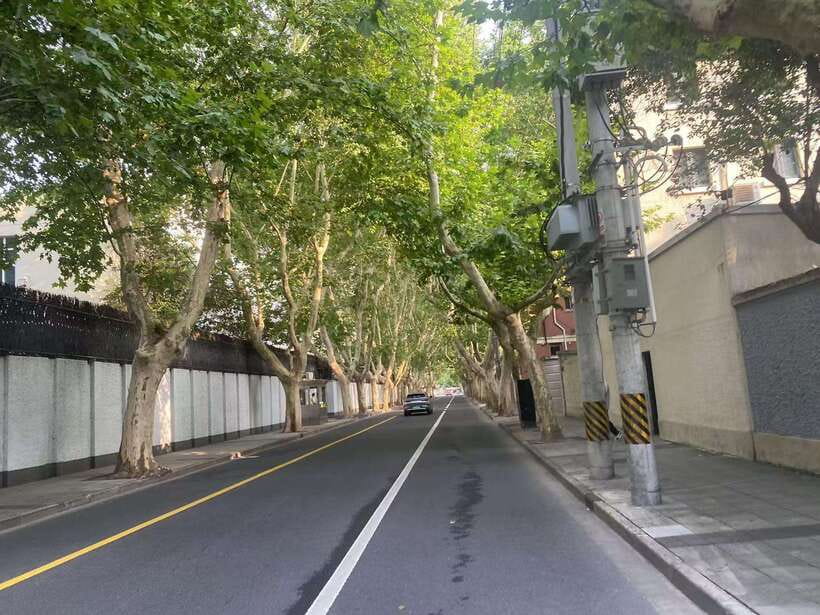 Explore Shanghai's Old Town & Suzhou River by Bike - Art Deco Shanghai: 1920s and 1930s buildings explained