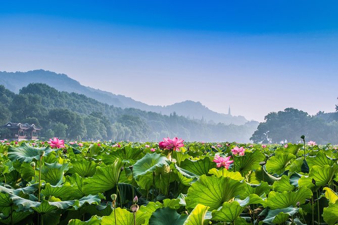 Flexible Hangzhou Private Day Tour with Lunch - Longjing Tea Fields: Dragon Well Tea, Tea Terraces, and Lunch That Actually Fits the Day