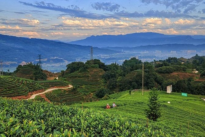 Flexible Hangzhou Private Day Tour with Lunch - Leifeng Pagoda: The Eight-Sided View and a City-Wide Bird View