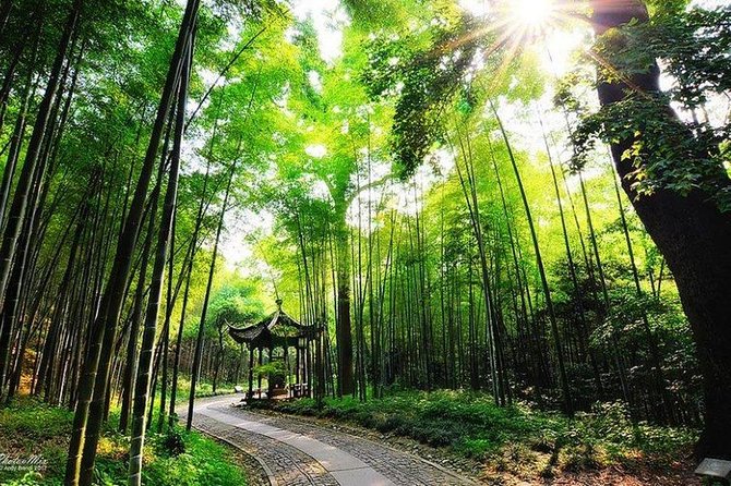 Flexible Hangzhou Private Day Tour with Lunch - Hefang Street Walk: Old Hangzhou Street Life Without the Pressure