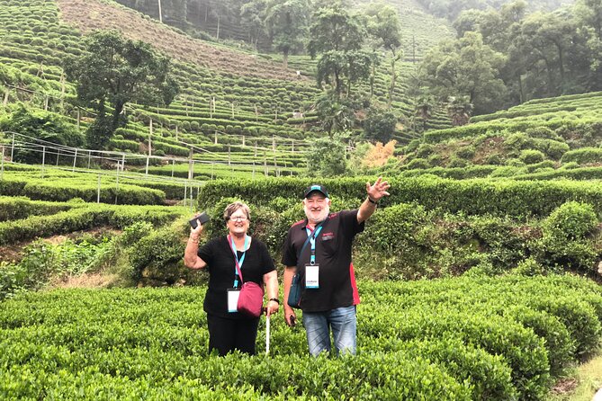 Flexible Hangzhou Private Tour from Shanghai by Bullet Train - Longjingshan Tea Cultural Village and the lunch stop